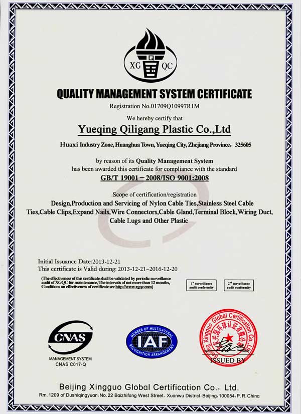亿欧 ISO9001 Certificate Qiligang